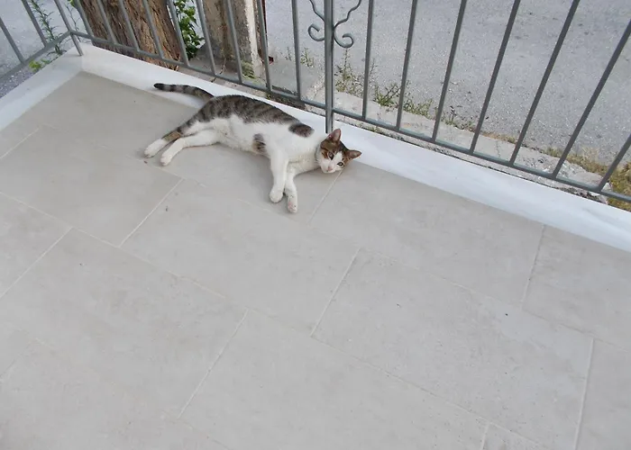 New 아파트 Lefkáda